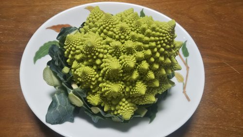 ロマネスコ　Broccolo Romanesco